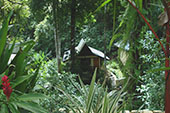 Manuel Antonio Quepos Costa Rica Hotel